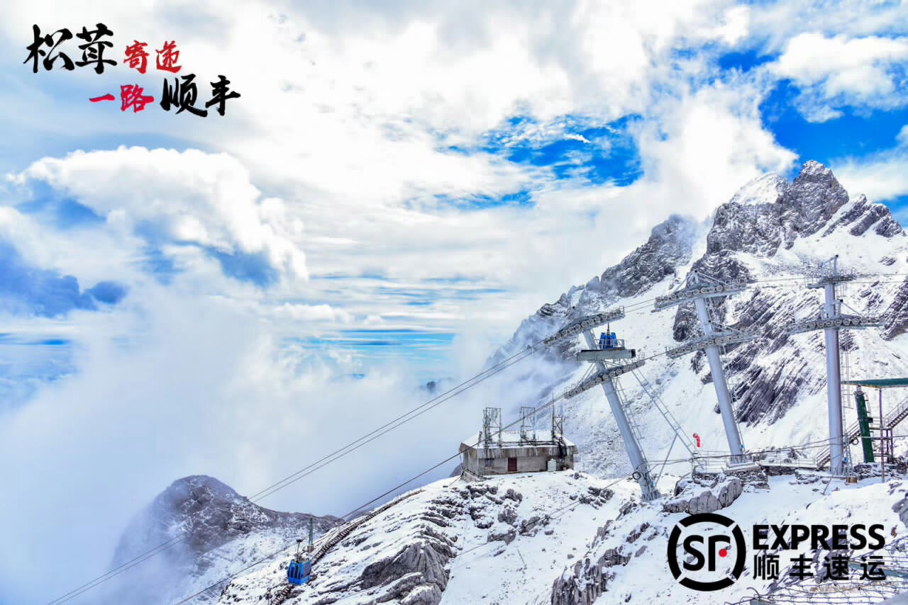 香格里拉發布會