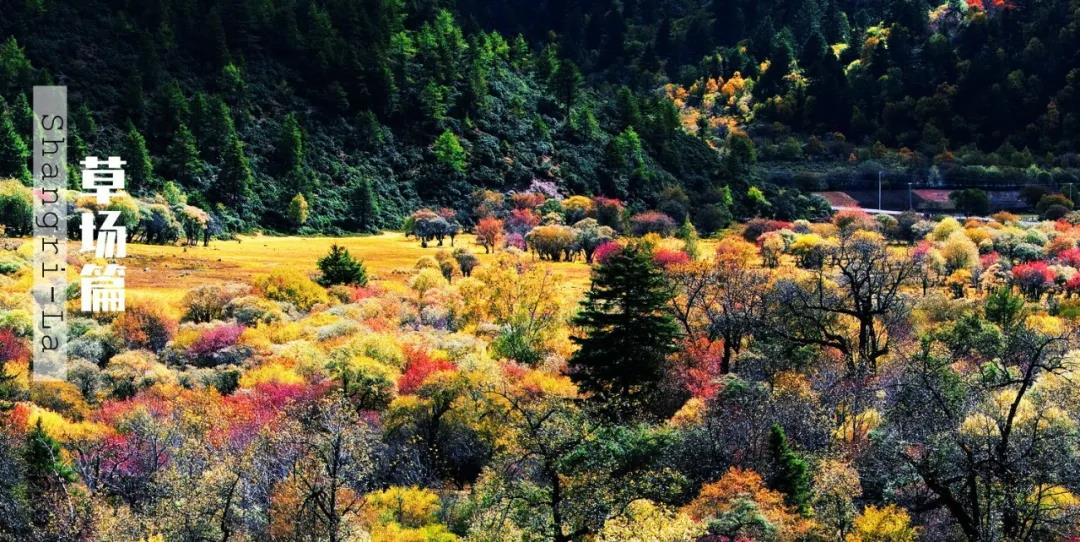 香格里拉Shangri-La｜草場篇