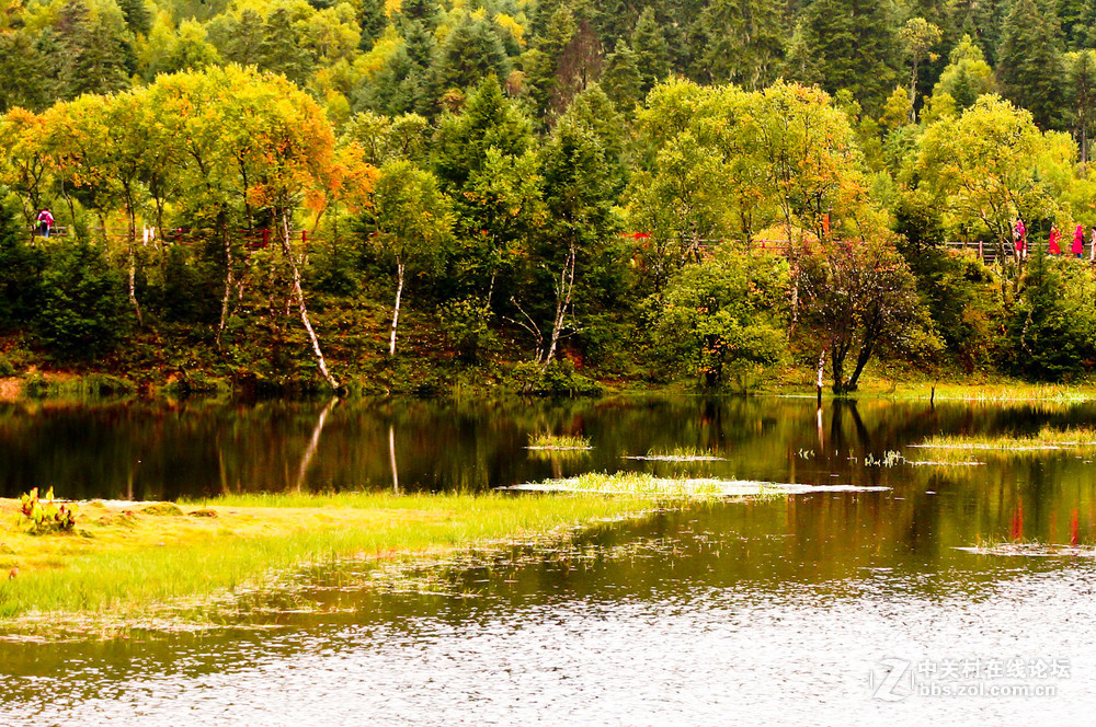 普達(dá)措森林公園研學(xué)