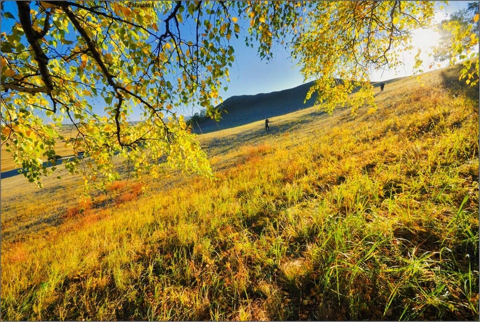 紅旗渠研學(xué)