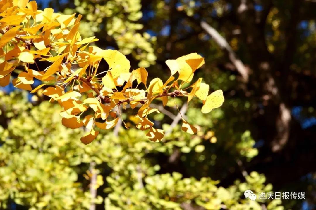 塔城：好風景湛藍的天空、潔白的云朵