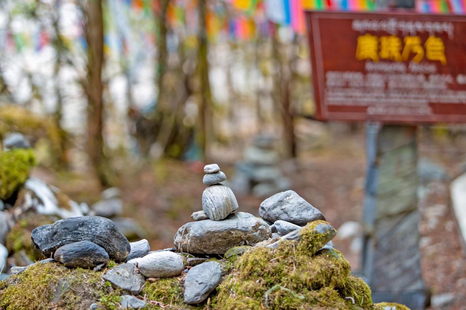 梅里雪山雨崩徒步