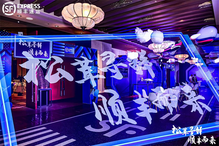 迪慶香格里拉大酒店會議搭建案例