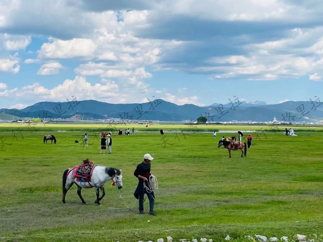 香格里拉網紅公路打卡戶外騎行團建