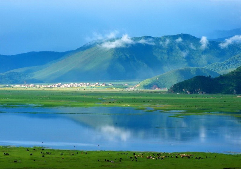 香格里拉納帕海依拉草原團建
