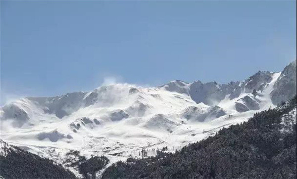 冬季的白馬雪山，一席白色的“盛宴”！