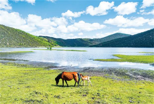 香格里拉旅游 香格里拉研學(xué)旅行 文化 | 歲月無聲 時(shí)光不語 一起感受迪慶非遺之美！