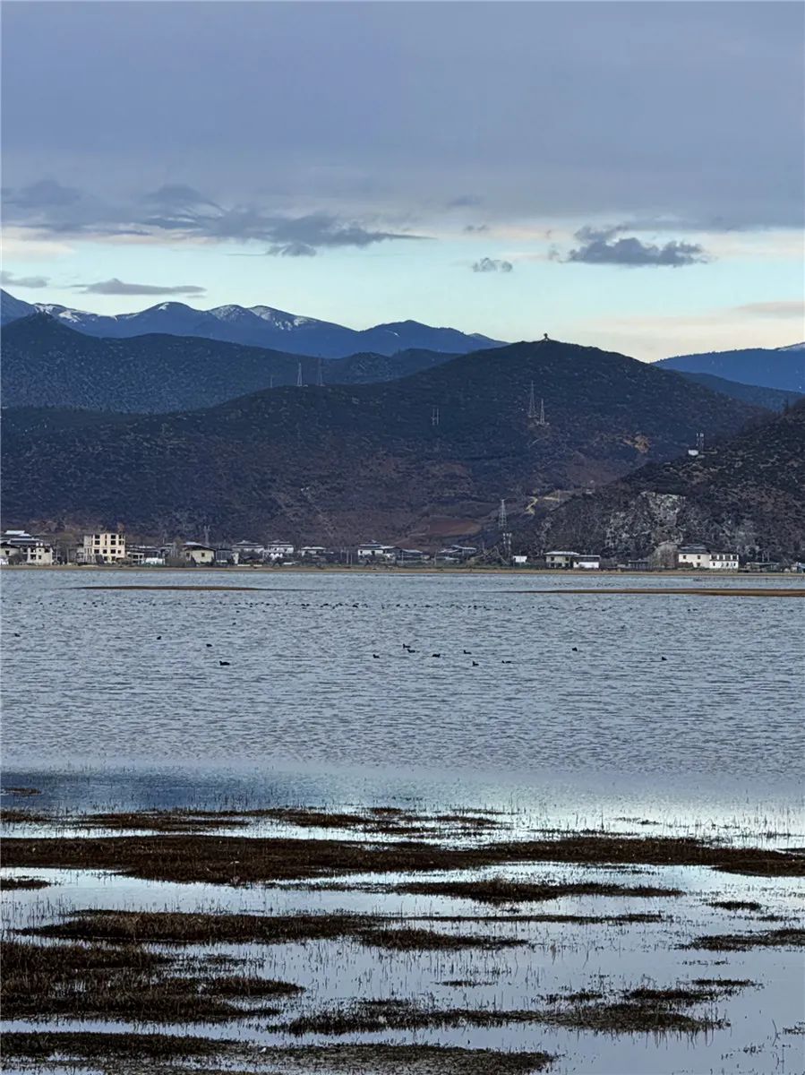 納帕海