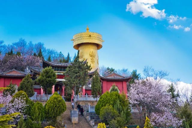 香格里拉旅游公司:來(lái)赴一場(chǎng)人間秘境 · 香格里拉的冬日浪漫
