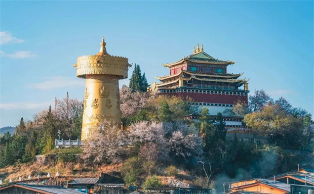 云南旅游,云南旅行社,云南團建公司,云南會議公司,云南策劃公司,香格里拉旅游,香格里拉旅行社,香格里拉團建公司,香格里拉會議公司：四季游迪慶｜春看高山峽谷滿眼綠色